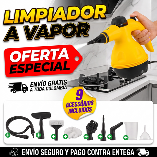 MAQUINA DE LIMPIEZA A VAPOR MULTIFUNCIONAL